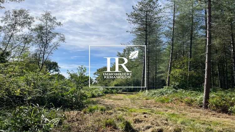 Ma-Cabane - Vente Maison Lamotte-Beuvron, 377 m²