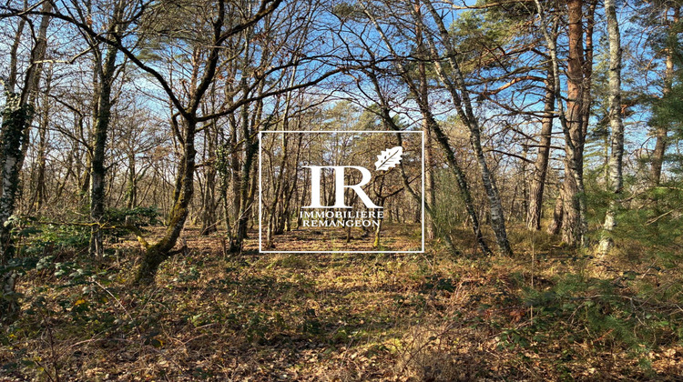 Ma-Cabane - Vente Maison Lamotte-Beuvron, 377 m²