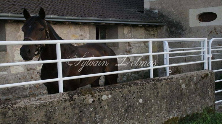 Ma-Cabane - Vente Maison LANGEAIS, 350 m²