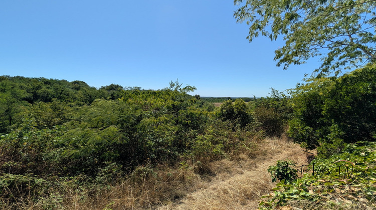 Ma-Cabane - Vente Maison Langon, 320 m²
