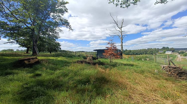 Ma-Cabane - Vente Maison LANGUIDIC, 173 m²