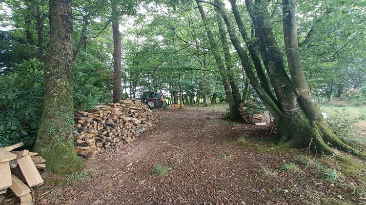 Ma-Cabane - Vente Maison LANGUIDIC, 173 m²