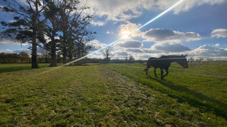 Ma-Cabane - Vente Maison LAPERCHE, 160 m²