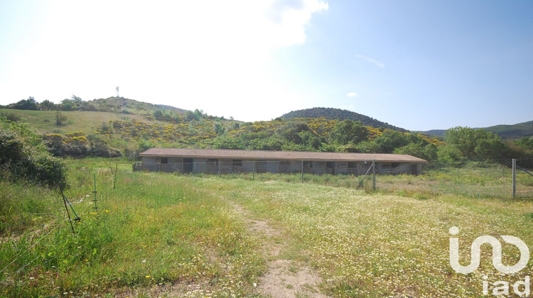 Ma-Cabane - Vente Maison Laroque de Fa, 446 m²