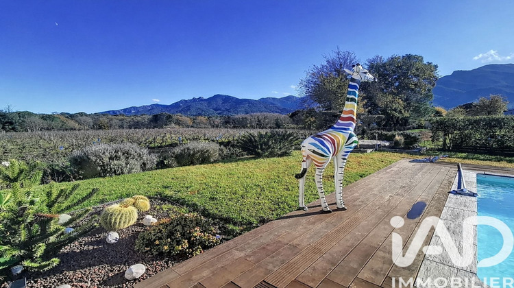 Ma-Cabane - Vente Maison Laroque-des-Albères, 265 m²