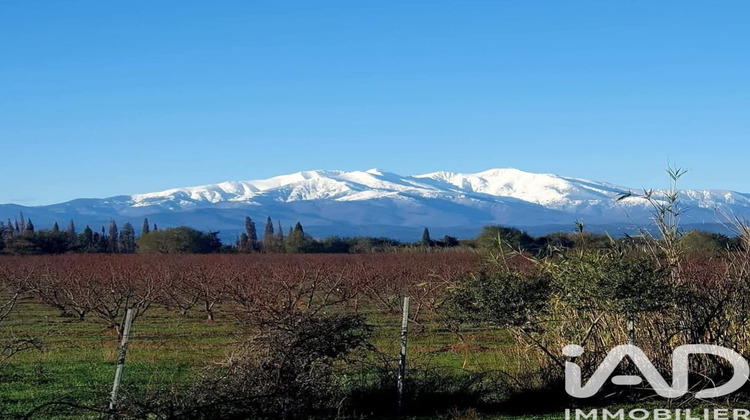 Ma-Cabane - Vente Maison Laroque des Alberes, 154 m²