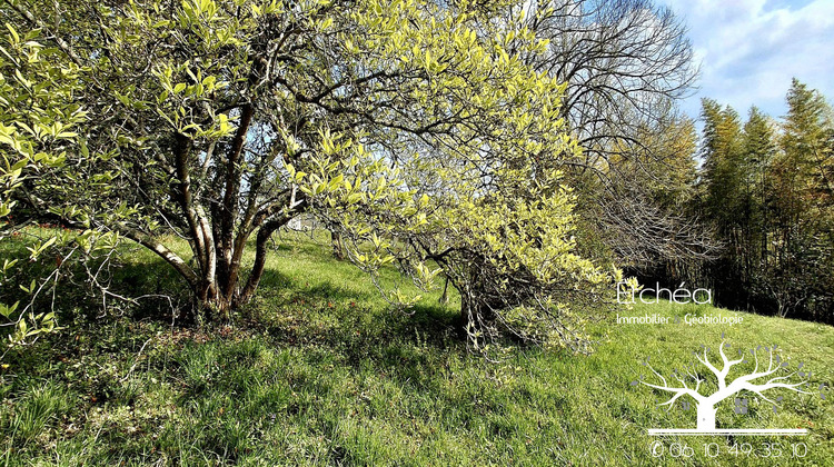 Ma-Cabane - Vente Maison Lasseube, 248 m²