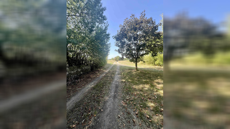 Ma-Cabane - Vente Maison Laujuzan, 206 m²