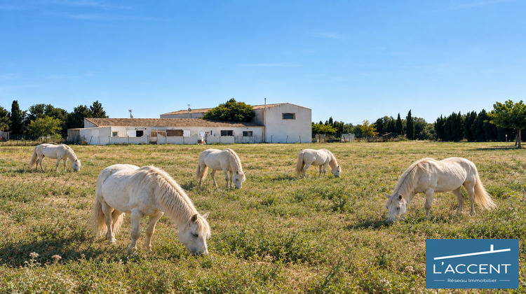 Ma-Cabane - Vente Maison Le Cailar, 186 m²