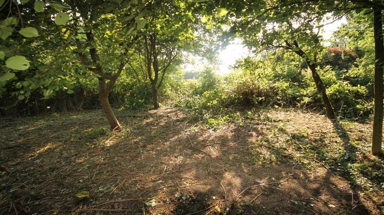 Ma-Cabane - Vente Maison LE CATEAU-CAMBRESIS, 160 m²