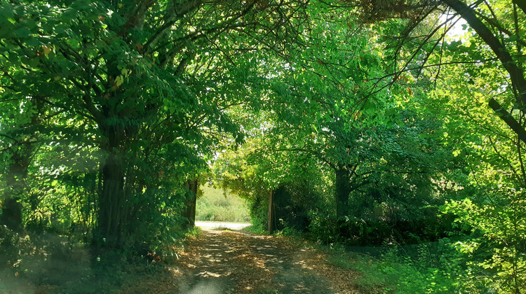 Ma-Cabane - Vente Maison LE CHATEAU-D'OLERON, 145 m²