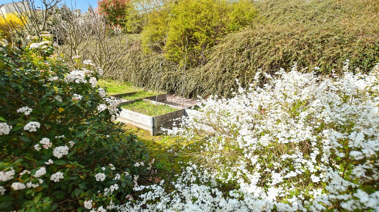 Ma-Cabane - Vente Maison LE CREUSOT, 277 m²