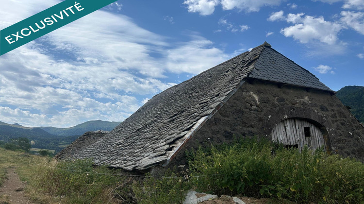 Ma-Cabane - Vente Maison Le Falgoux, 300 m²