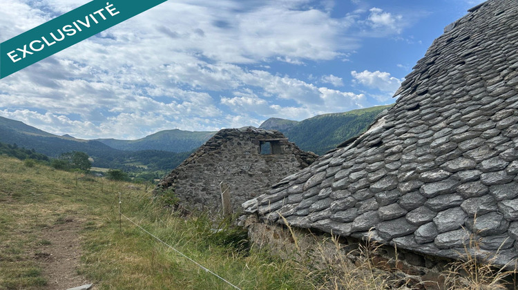 Ma-Cabane - Vente Maison Le Falgoux, 300 m²