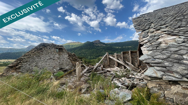 Ma-Cabane - Vente Maison Le Falgoux, 300 m²