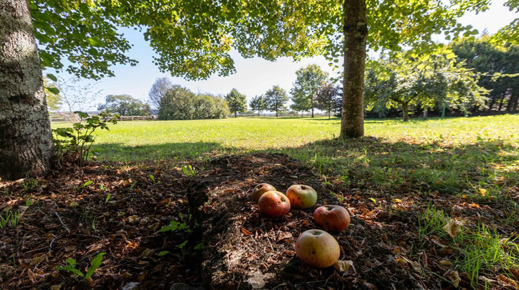 Ma-Cabane - Vente Maison LE FIED, 413 m²