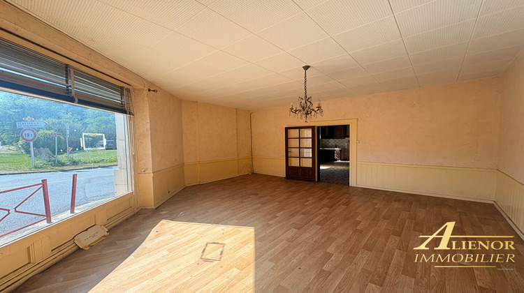 Ma-Cabane - Vente Maison LE FLEIX, 270 m²