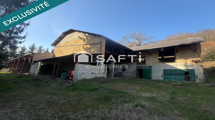 Ma-Cabane - Vente Maison Le Grand-Lemps, 350 m²