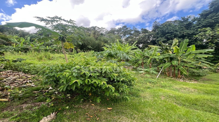 Ma-Cabane - Vente Maison LE LAMENTIN, 36 m²