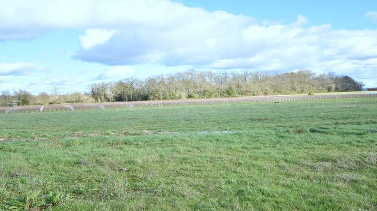 Ma-Cabane - Vente Maison LE LANDREAU, 60 m²