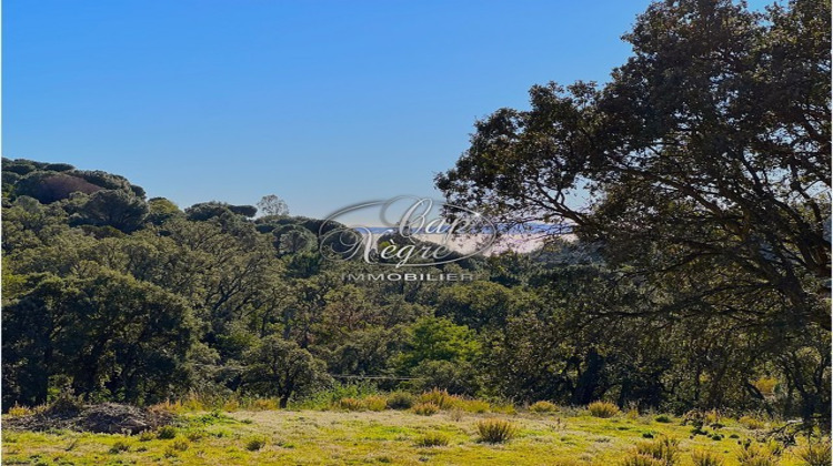 Ma-Cabane - Vente Maison LE LAVANDOU, 212 m²