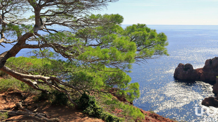 Ma-Cabane - Vente Maison Le Lavandou, 171 m²