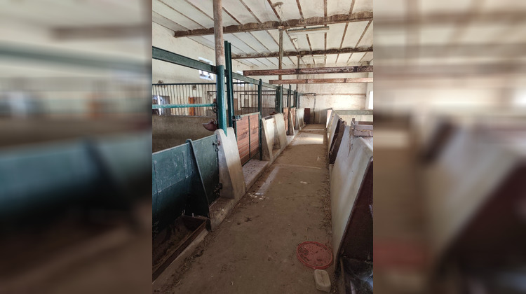 Ma-Cabane - Vente Maison Le Liege, 154 m²