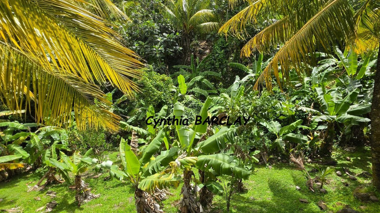Ma-Cabane - Vente Maison LE MARIN, 65 m²
