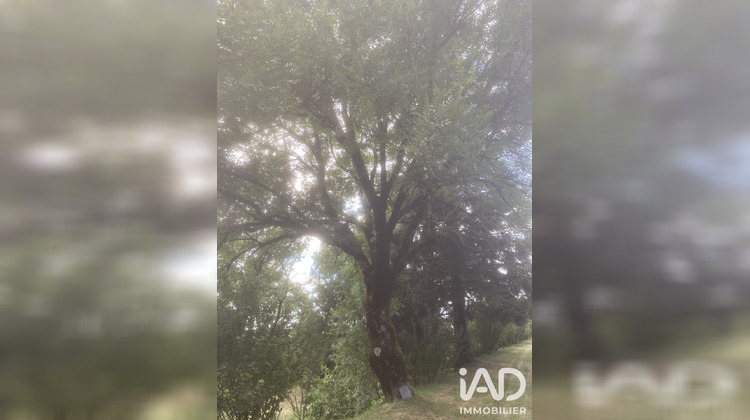 Ma-Cabane - Vente Maison Le Masnau-Massuguiès, 115 m²