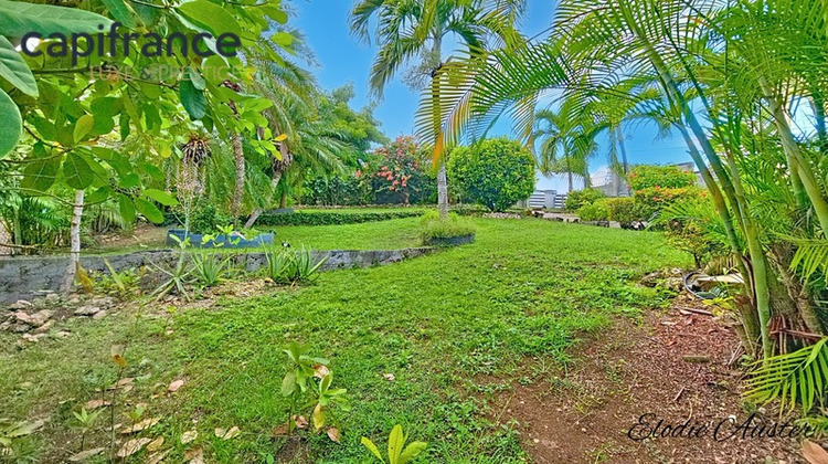 Ma-Cabane - Vente Maison LE MOULE, 197 m²