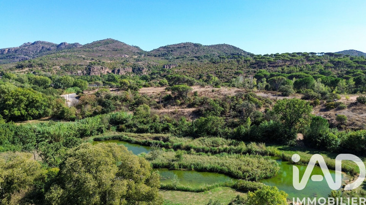 Ma-Cabane - Vente Maison Le Muy, 736 m²