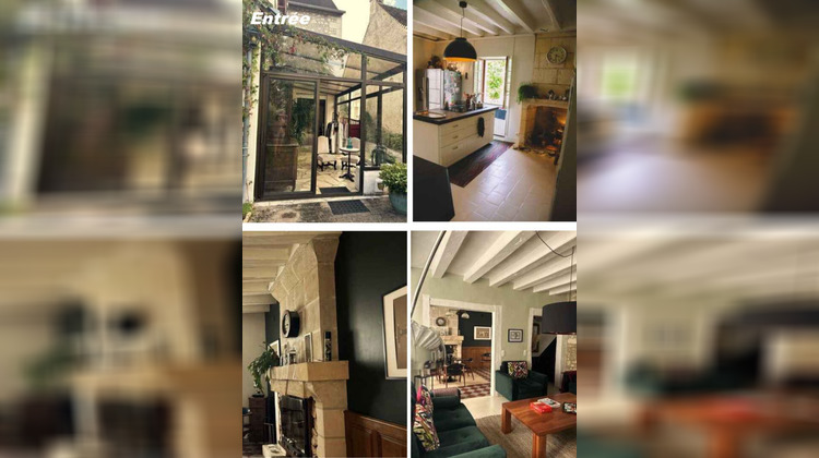 Ma-Cabane - Vente Maison LE PETIT-PRESSIGNY, 247 m²