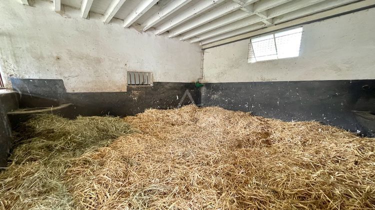 Ma-Cabane - Vente Maison LE PIN AU HARAS, 160 m²