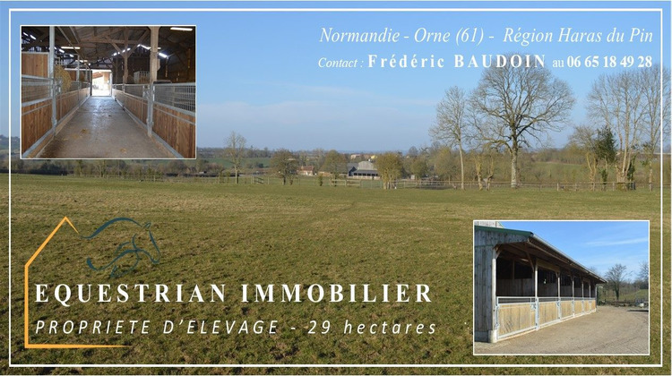 Ma-Cabane - Vente Maison Le Pin-au-Haras, 113 m²