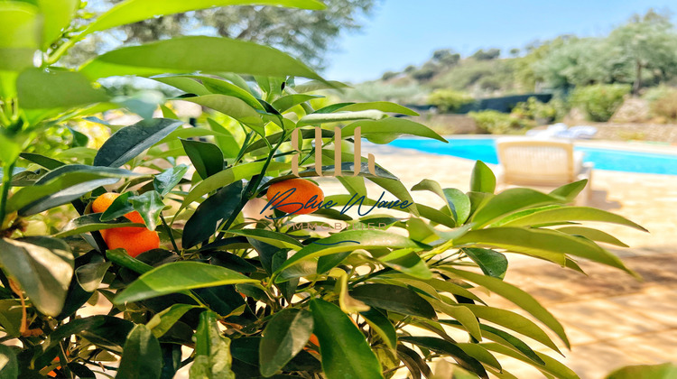 Ma-Cabane - Vente Maison Le Plan-de-la-Tour, 176 m²