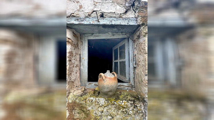 Ma-Cabane - Vente Maison LE POIRE-SUR-VELLUIRE, 100 m²