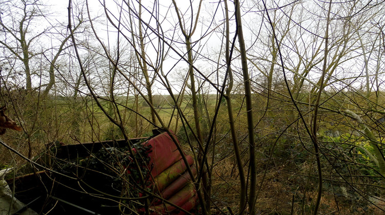 Ma-Cabane - Vente Maison LE QUESNOY, 80 m²