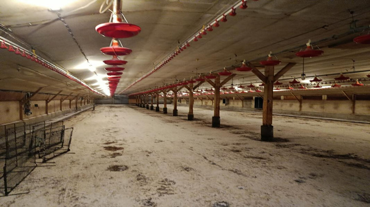 Ma-Cabane - Vente Maison LE SAINT, 0 m²