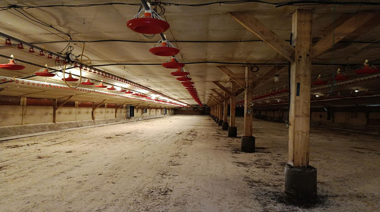 Ma-Cabane - Vente Maison LE SAINT, 0 m²