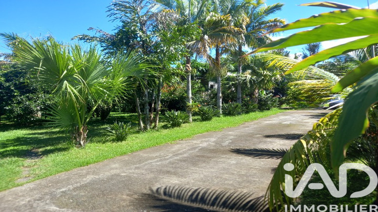 Ma-Cabane - Vente Maison Le Tampon, 170 m²