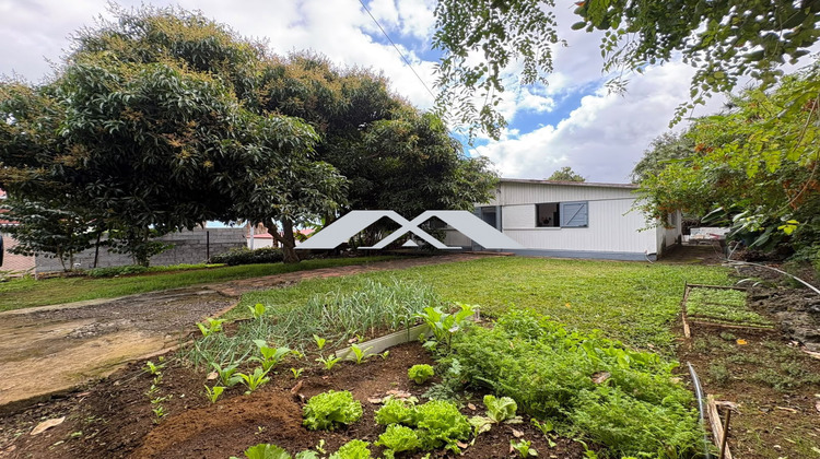 Ma-Cabane - Vente Maison Le Tampon, 60 m²