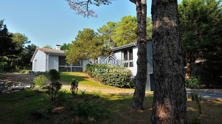 Ma-Cabane - Vente Maison Le Touquet-Paris-Plage, 220 m²