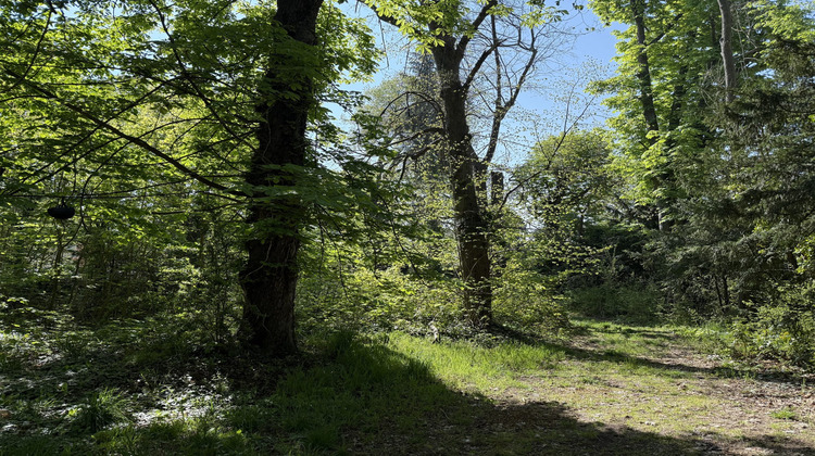 Ma-Cabane - Vente Maison Le Vésinet, 320 m²