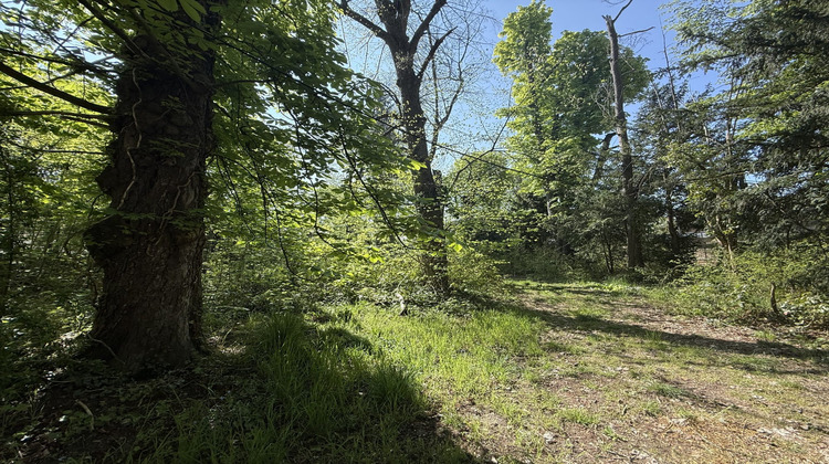 Ma-Cabane - Vente Maison Le Vésinet, 320 m²