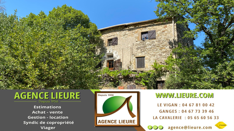 Ma-Cabane - Vente Maison Le Vigan, 160 m²