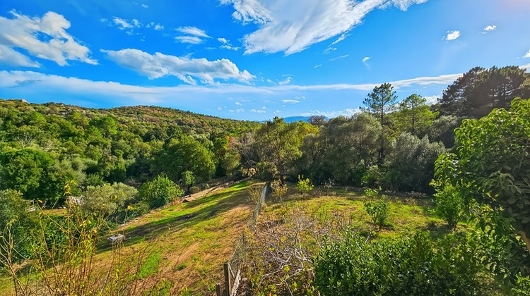 Ma-Cabane - Vente Maison LECCI, 299 m²