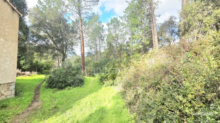 Ma-Cabane - Vente Maison LECCI, 55 m²