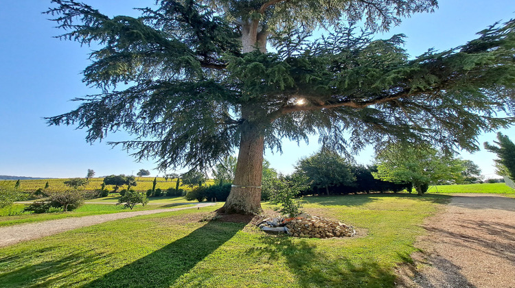 Ma-Cabane - Vente Maison Lectoure, 185 m²