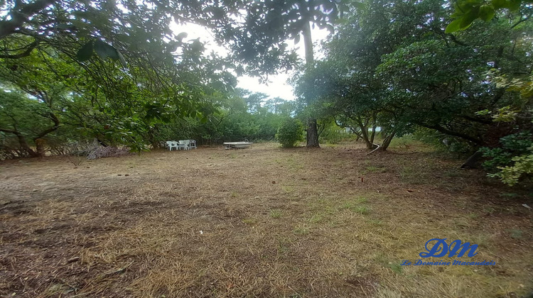 Ma-Cabane - Vente Maison Lège-Cap-Ferret, 200 m²