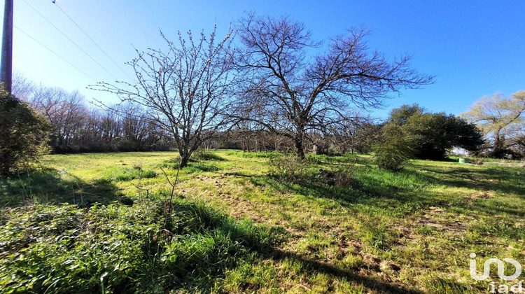 Ma-Cabane - Vente Maison Leoville, 330 m²